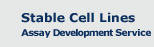 Stable Cell Lines Assay Development Service